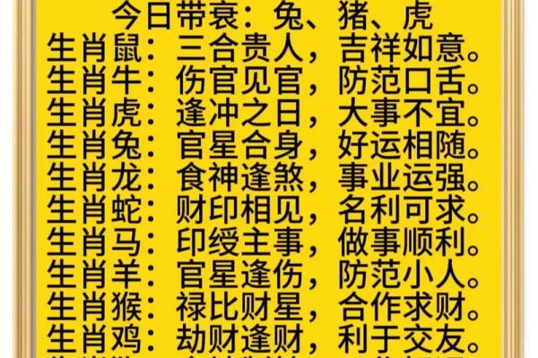70年属什么生肖，解锁你的命运密码与人生启示