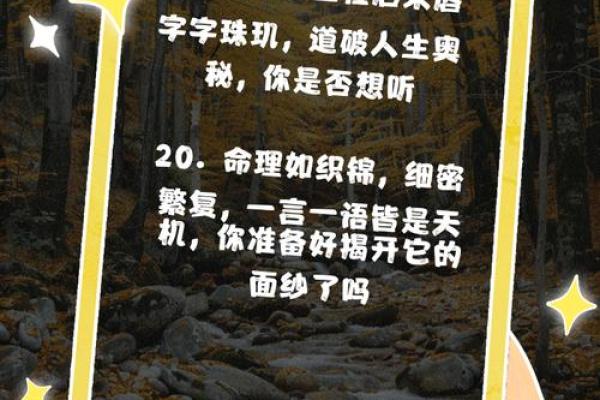 算命之道：看命与命不该算的深刻启示