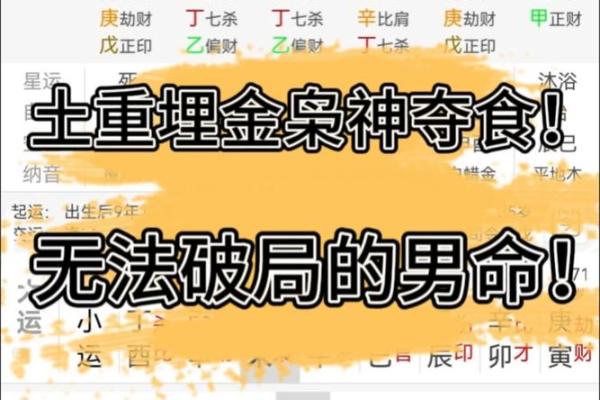 探索枭神男命与女命的绝妙结合：命理中的完美搭配