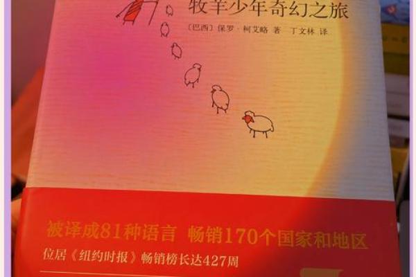13岁男孩的命运之旅：梦想、挑战与成长