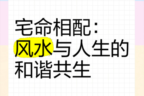 靠命：探索人生命运与选择的微妙关系