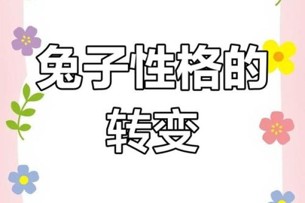 1942年属兔之人的命运与性格解析：神秘而温柔的旅程