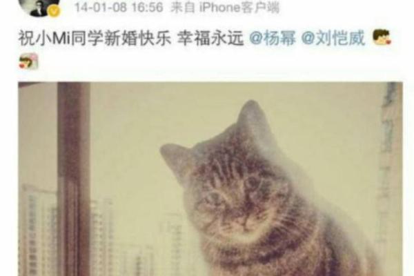 命犯桃花与数字背后的秘密：如何借助数字破解桃花劫