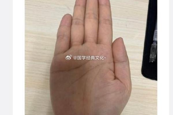 根据手相探寻命格，揭示你的人生轨迹与内在潜能