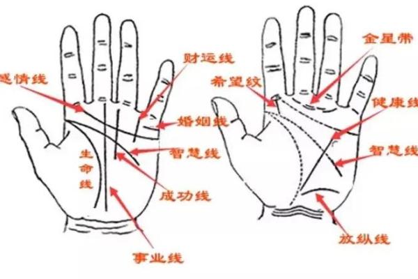 根据手相探寻命格，揭示你的人生轨迹与内在潜能
