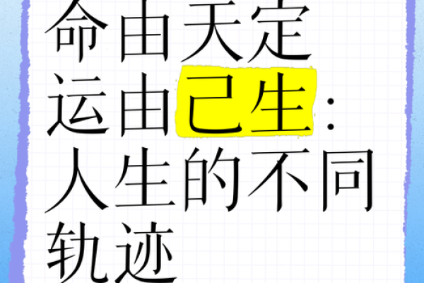 揭开“遮命”的神秘面纱，探寻命理与人生的另一种解读