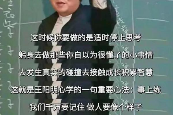 探秘松树命：看似简单却蕴含深意的人生哲学
