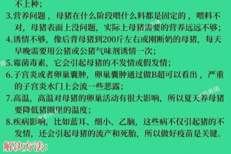 1999年出生的猪命运解析：如何在生活中找到自己的方向