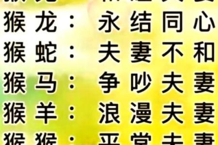 揭开1993年出生的猪年人的命运与性格之谜