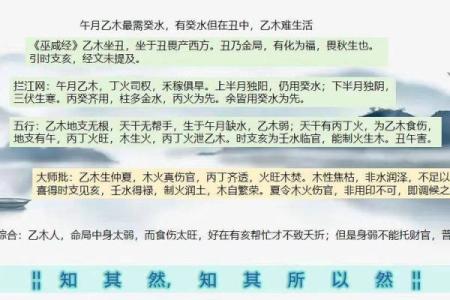 木命人士与手表颜色的完美搭配指南
