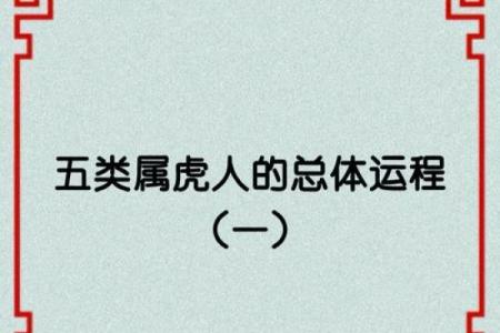 98年虎，虎年命，探索命理与性格的深度奥秘