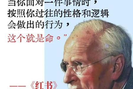 理解命局：探索自我的内在世界与外在影响