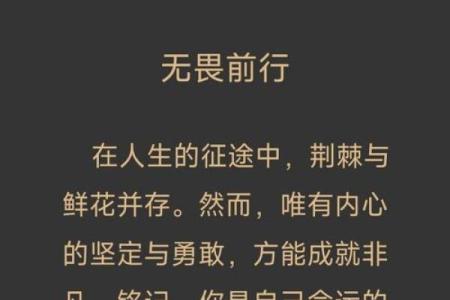 2001年出生的人命运解析：揭示内心与未来的智慧
