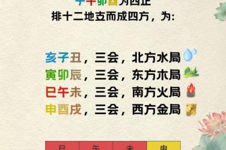 探秘己巳年：解析其背后的木命运与人生智慧