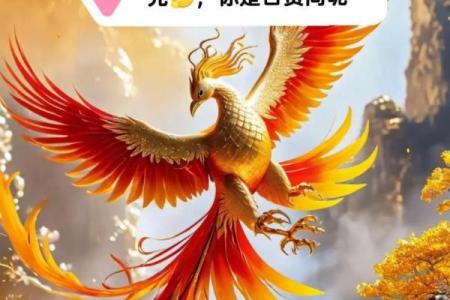 朱雀面相女命解析：揭示女性独特的命理魅力与人生秘密
