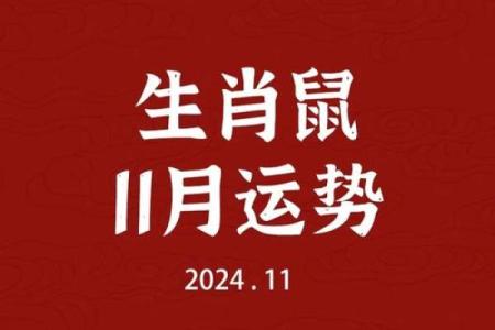 属鼠命适合哪些职业？揭开财富与事业的奥秘！