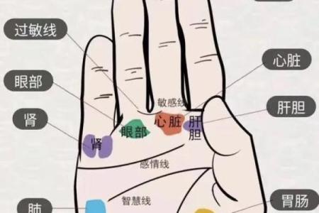 探索手掌纹理，揭秘你的命运之路！