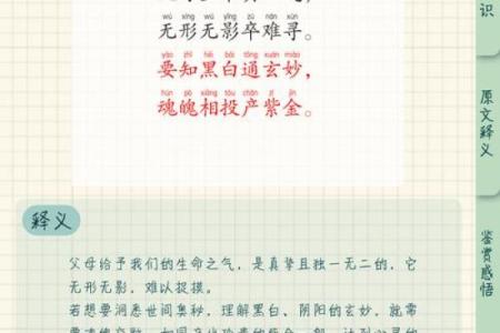 命带说词，探寻生活的深层意义与启示