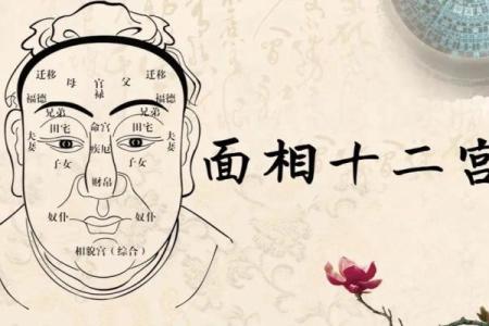 嘴巴像弓箭的命运解析：运势与性格的奇妙联系