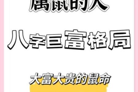2024年鼠年运势解析：命理揭秘与生活指导
