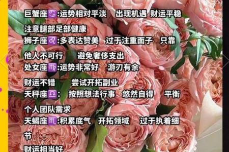 探秘十二星座：一生的命运与机遇解析
