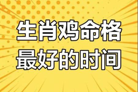 鸡年亥时出生的命理解析与生活智慧
