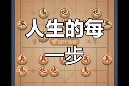 根据什么入什么命，人生如棋尽显智慧与缘分