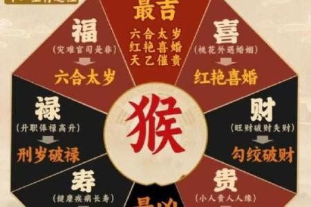属猴人在2016年的命运解析与运势指南