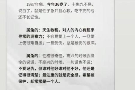 1942年属兔之人的命运与性格解析：神秘而温柔的旅程