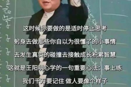 探秘松树命：看似简单却蕴含深意的人生哲学