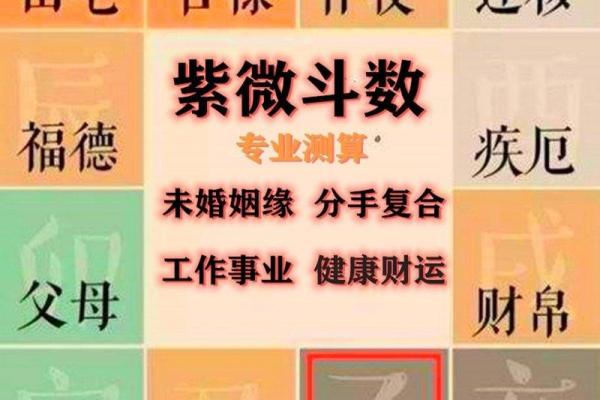 探索紫薇命主主星的奥秘：揭开命理与人生的神秘面纱