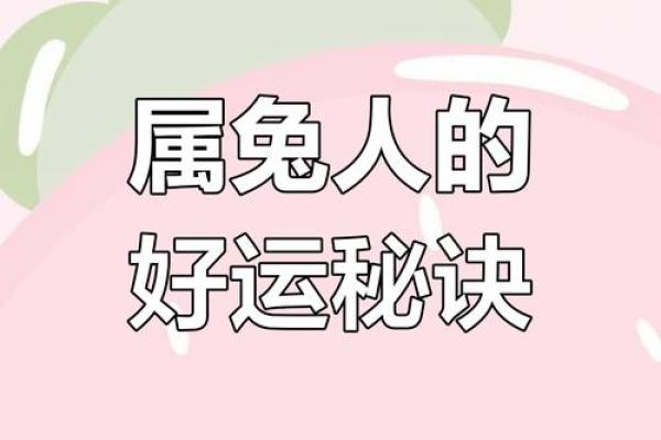 43岁属兔的命运解析：性格、事业与生活的多重解读