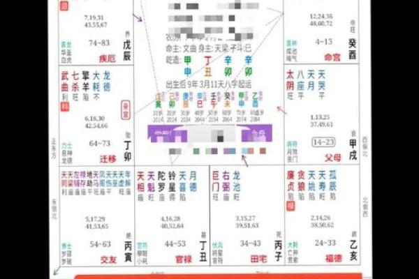 探索2016年腊月命理：命运与生肖的独特交汇