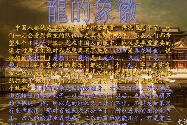 64年龙命解析：神秘的命运与人生之路