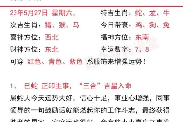 属虎人命相合之道：了解命理，提升人生智慧与幸福感