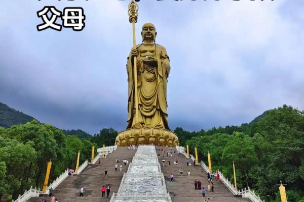 什么是慈悲富贵命？探秘关爱与财富的和谐之道