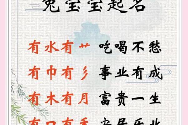 探秘兔宝宝：属兔的命运与年份解析