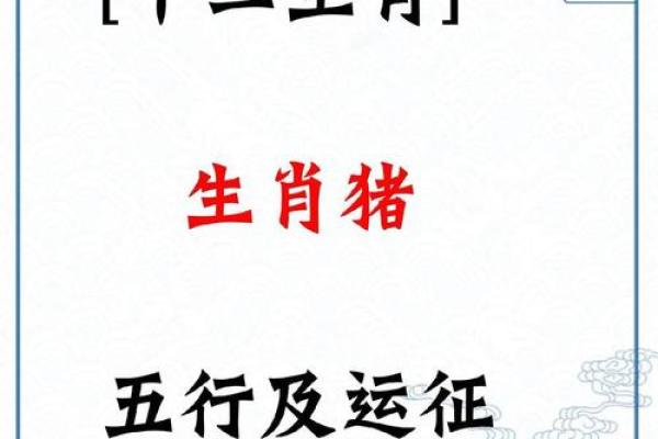 71年猪命运解析：揭秘缺失与补救之道，助你一生顺风顺水！