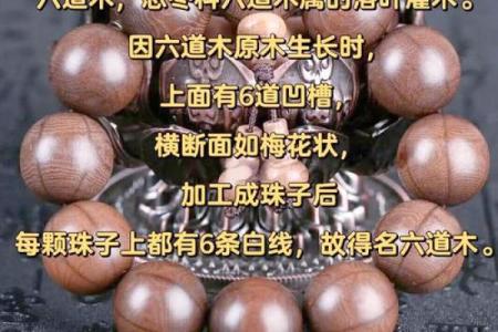 水命人适合哪种木材？揭开命理与木材的神秘联系！