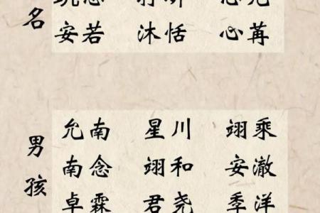 为木命属狗的宝宝取个温馨可爱的小名