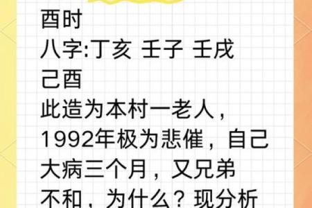 94酉时出生的人命运解析：揭示命理的奥秘与人生机遇
