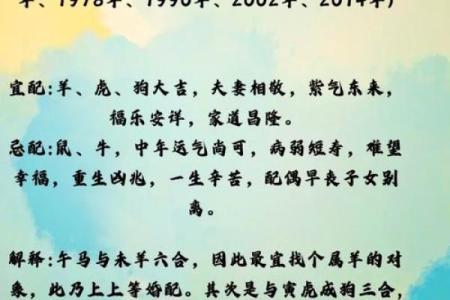 属马的午时出生有什么命运故事？探寻马年命理的奥秘