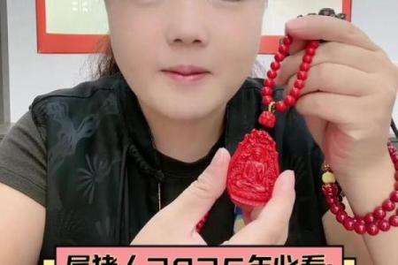 火命属猪者适合从事哪些行业？探索事业成功的关键！