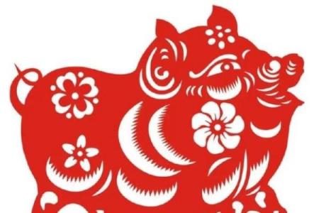 49岁属猪人的命运解析与生活智慧