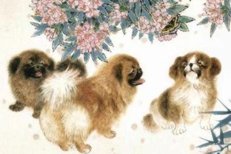 1946年生肖与命理：探寻属狗人的人生之路与命运解读