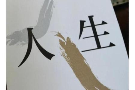 2002年：水马之年，命运的轨迹与人生的启示