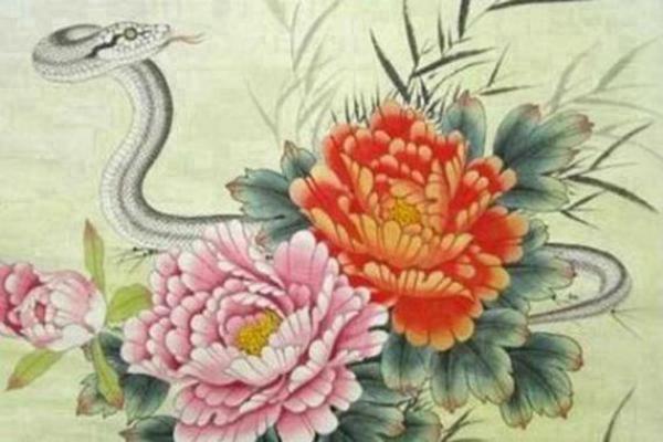 水命蛇适合的行业与职业选择探讨