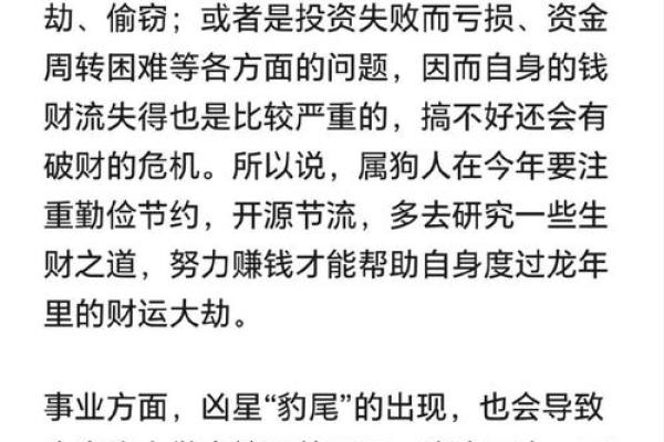 2000火兔命解析：揭示命中缺什么，寻找人生的智慧与方向