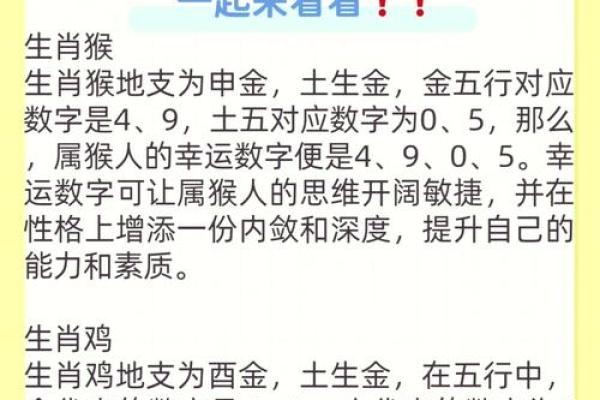 水兔命人的生活与运势：需要注意的关键事项