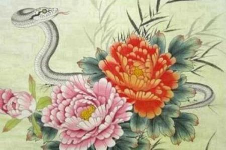 水命蛇适合的行业与职业选择探讨